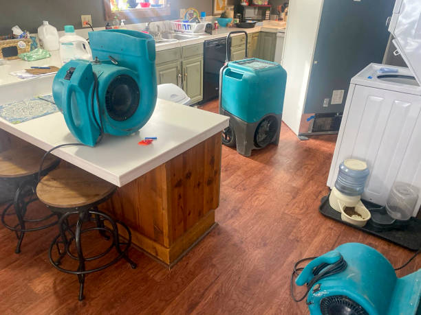 Best Mold removal after water damage  in Toledo, OR
