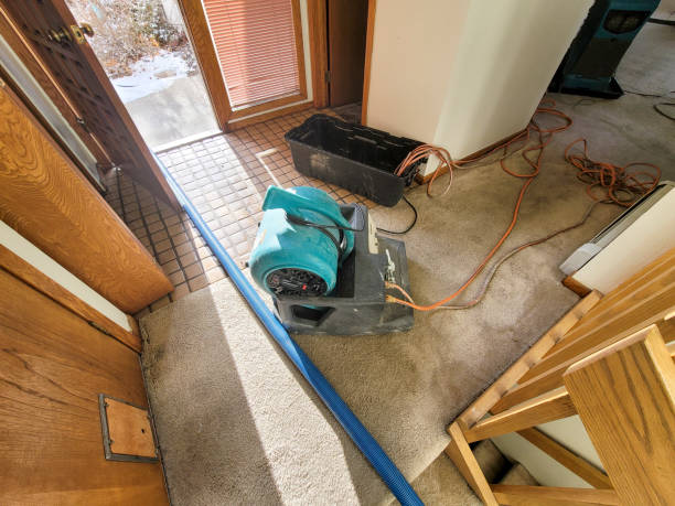 Best Professional water damage repair  in Toledo, OR