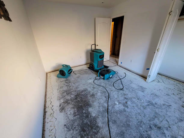 Best Flood damage cleanup  in Toledo, OR