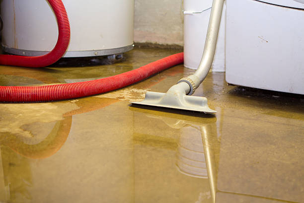 Best Fire Damage Restoration  in Toledo, OR