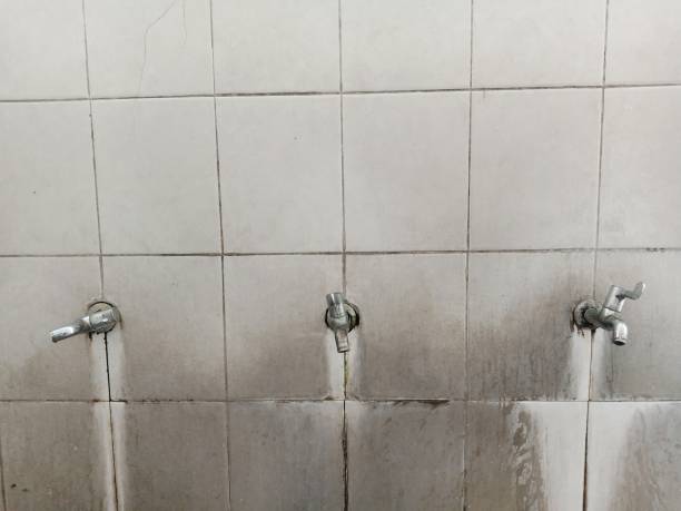 Best Carpet water damage restoration  in Toledo, OR