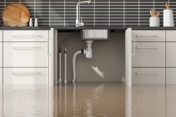 Water damage restoration mold remediation in Toledo, OR